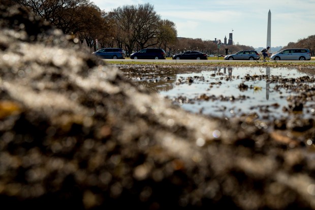 Fields Along National Mall To Reopen