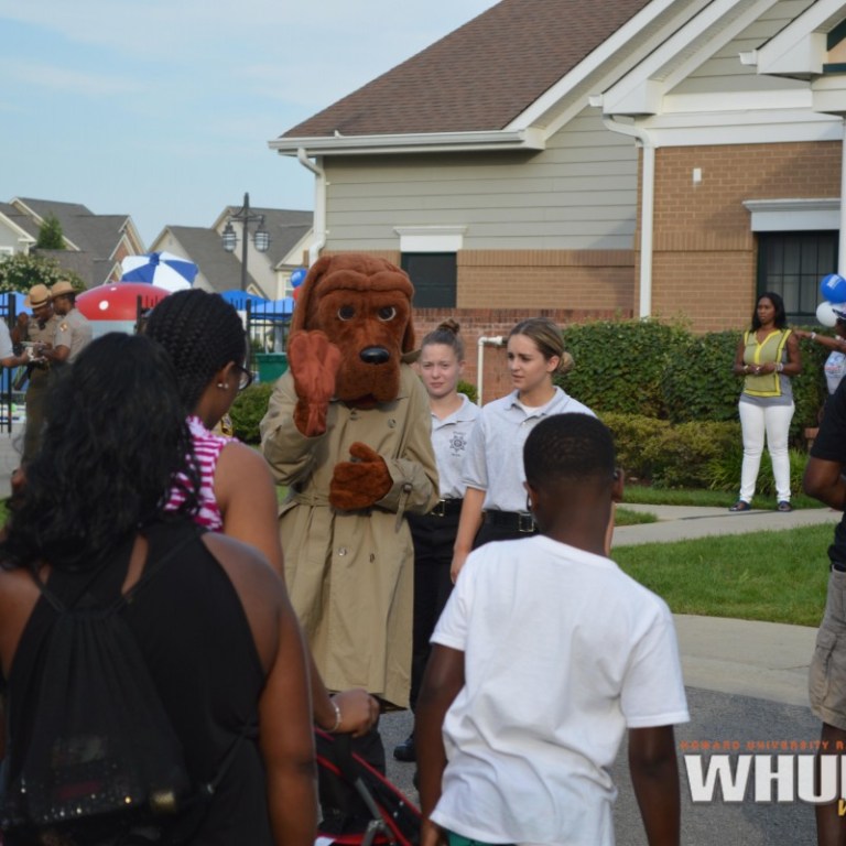 Tackling Crime and Violence in Our Neighborhood