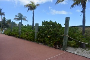 Disney Dream Cruise and trip 2018_Castaway Cay 5