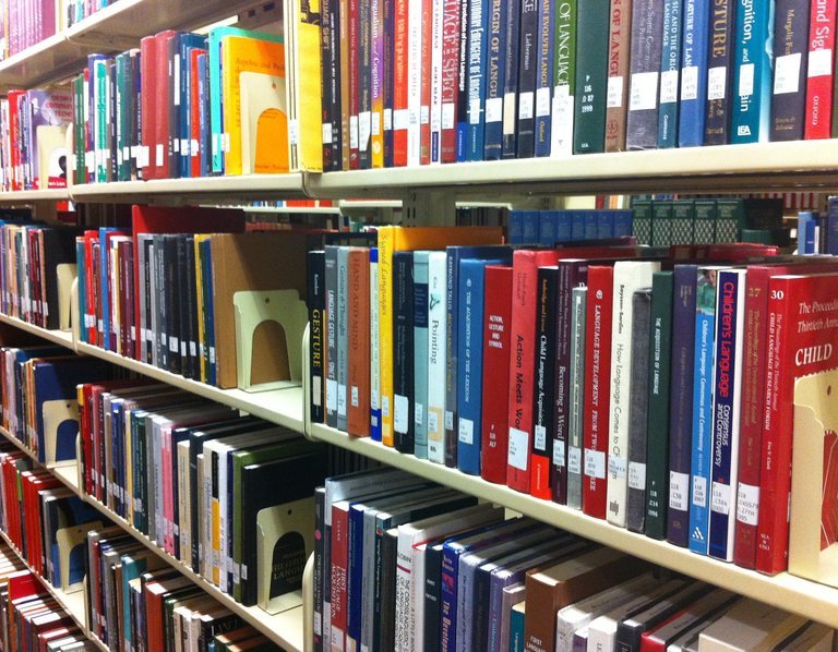 Dr. King Day….A Day On, Not a Day Off:  Providing Our Youth with The Gift of Books