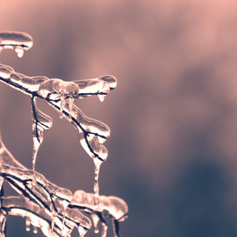 Wintry Mix Means A Late Start for Many Monday In the DMV