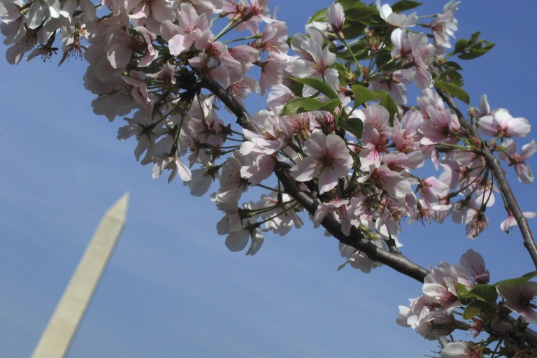 Pillow Talk Game Night, Lakeside, and Verdi’s Otello at the Kennedy Center