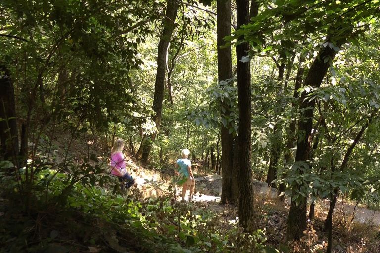 Suspect Arrested in Machete Attack In Virginia