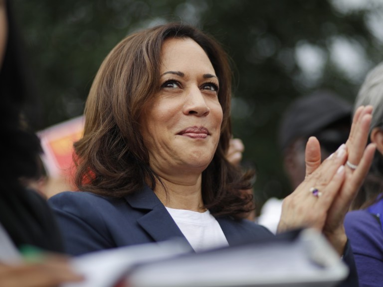 Election 2020 Kamala Harris _Ap Images