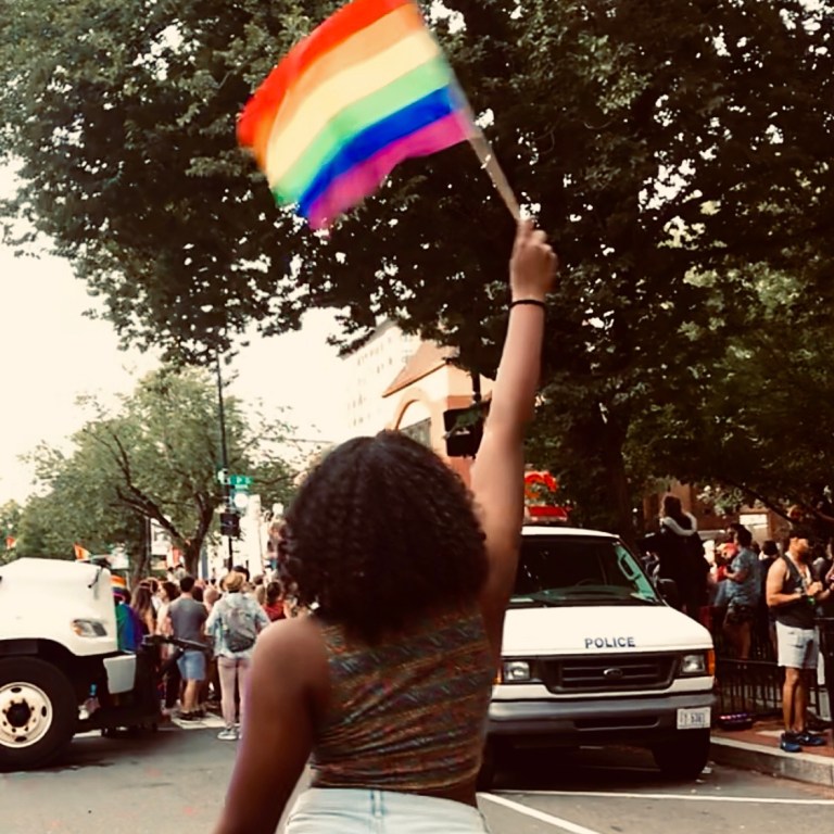 WORLD PRIDE DC: CELEREBRATIONS, CHALLENGES AND THE FUTURE OF THE MOVEMENT