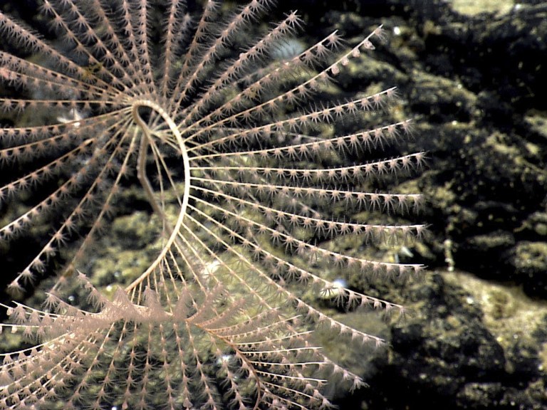 National Monument Atlantic_AP Images