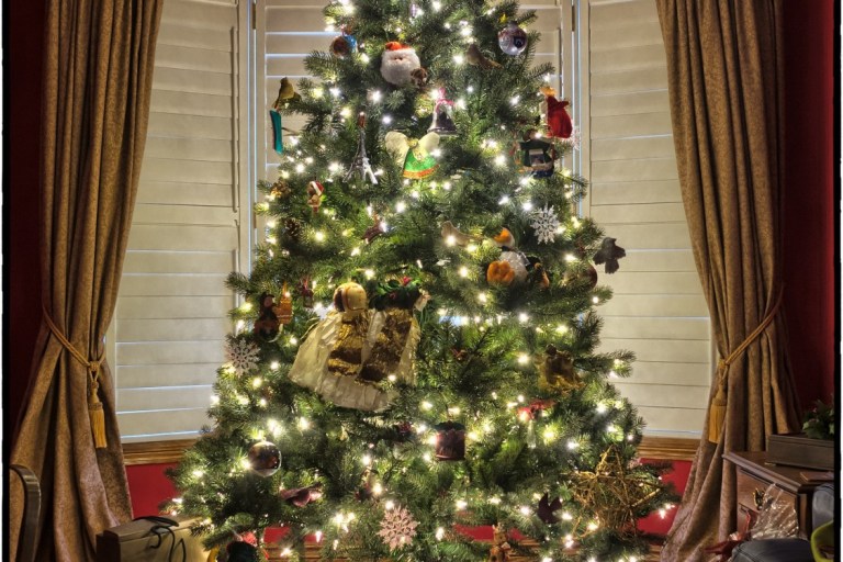 How To Properly Dispose Of Christmas Tree And Decorations