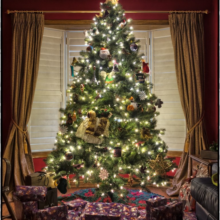 Finding Hope During the Holiday Season