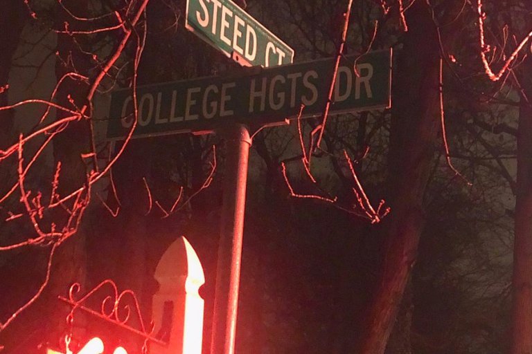 Female Driver Dies Eluding Police