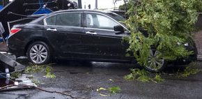 ‘Black Panther’ Performer Carrie Bernans Hurt In NYC Crash