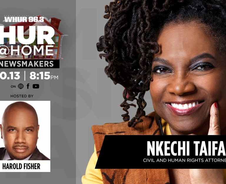 Civil and Human Rights Attorney Nkechi Taifa