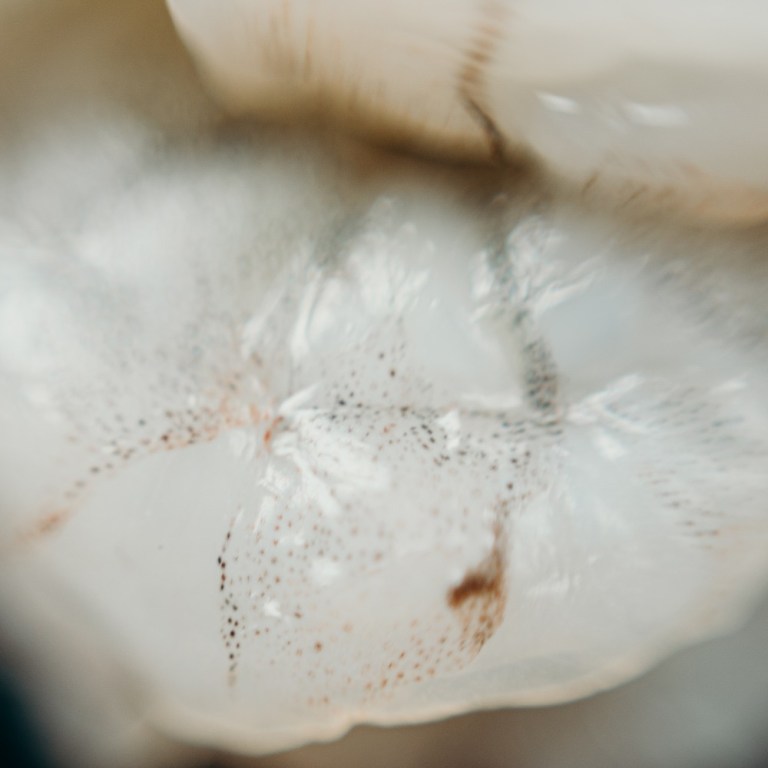 Frozen Shrimp Recalled Due To Salmonella Concerns