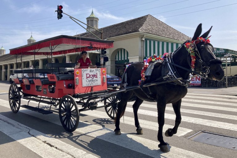 Post-Ida Recovery In New Orleans: Beer And Beignets Are Back
