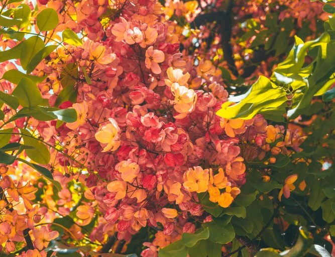 The Beauty of Autumn is on Display