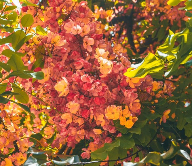 pexels-jess-loiterton-4783851