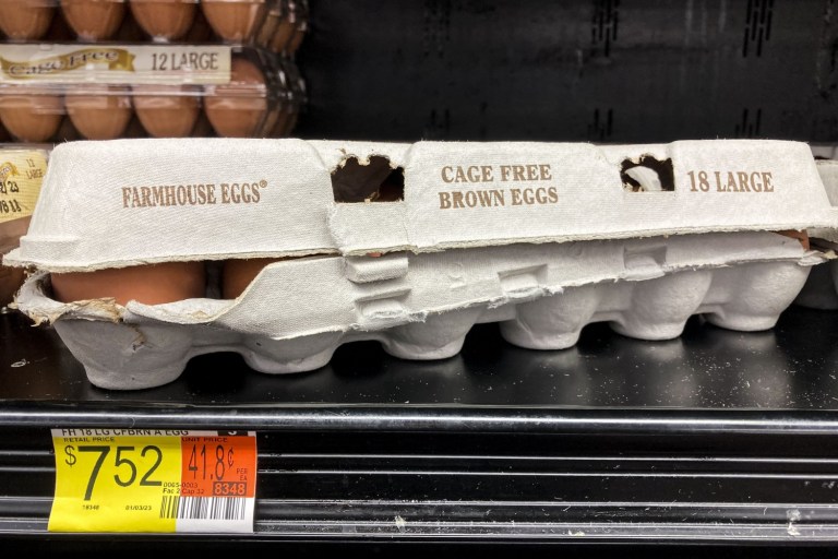 There’s a National Egg Shortage—Here’s What You Need to Know