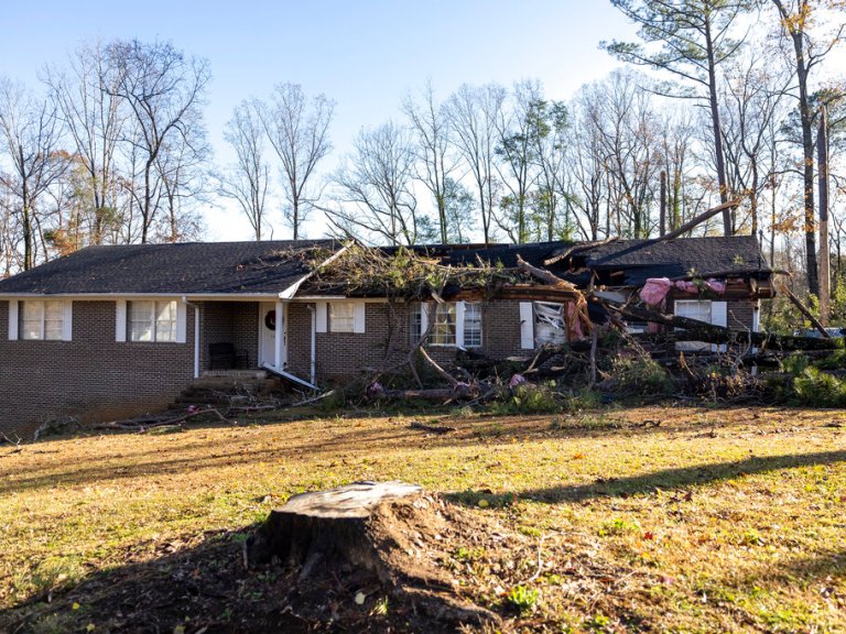 Severe Weather Alabama tree hits house