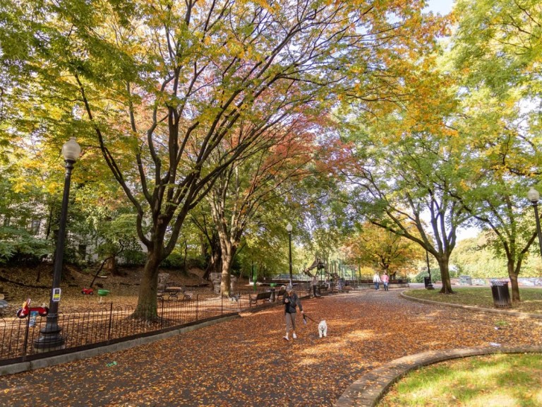 WALTER PIERCE PARK DC