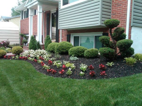 Spring Lawn and Garden Tips