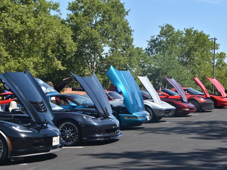 Corvette Show Corvette Show