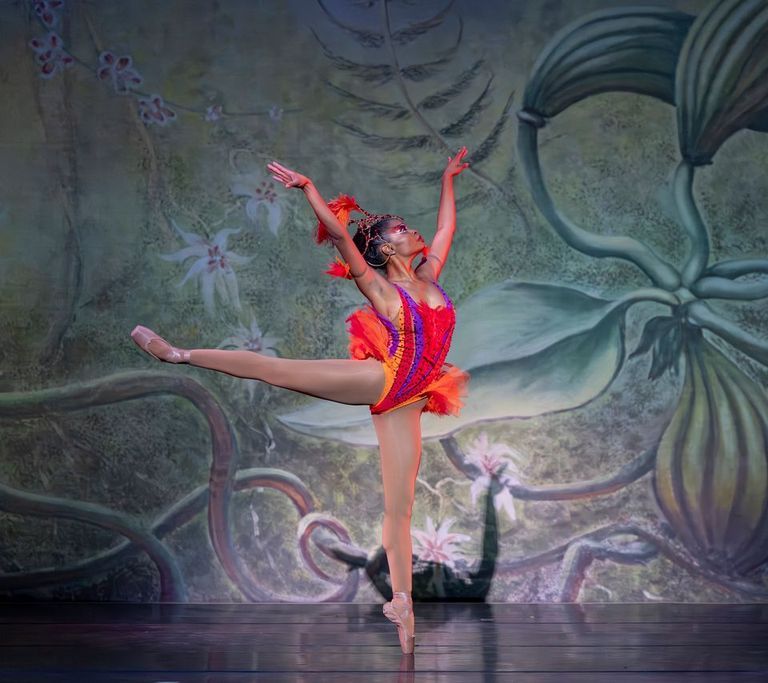 The Dance Theatre of Harlem Back in The DMV