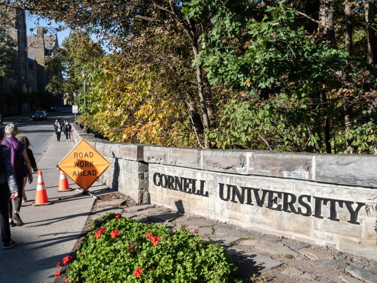 CORNELL UNIVERSITY